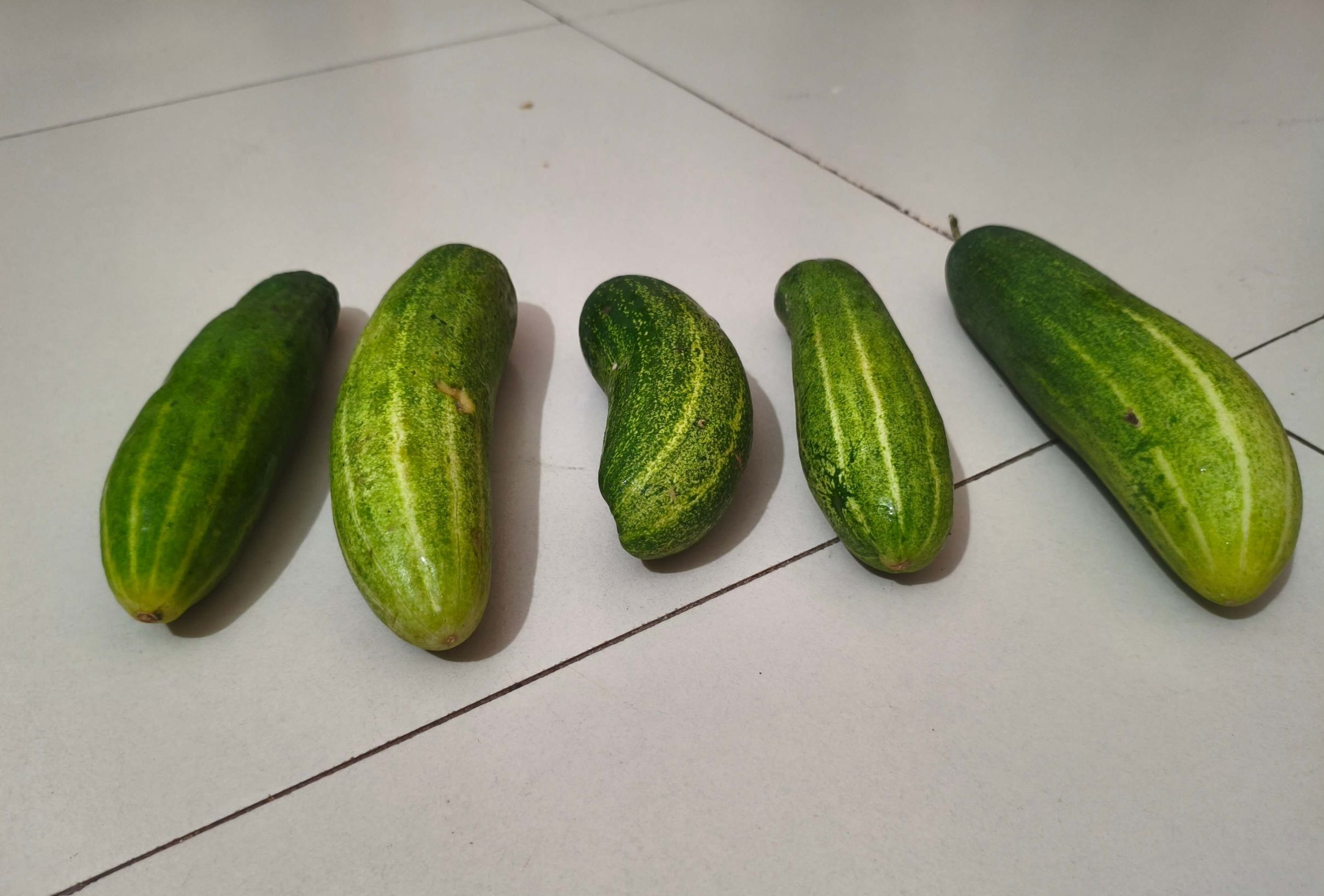 শসা খাওয়ার উপকারিতা